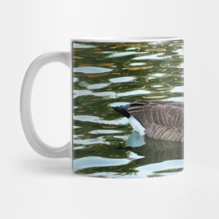 Canada Goose Swimming In The Water. Mug